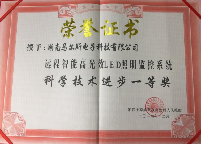 科技进步一等奖